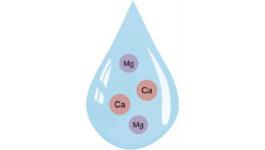 Tap water and calcium content