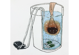 How to make compost tea